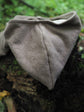 Gefütterte Baumwollfleece Jacke (Bio) Gr. 98